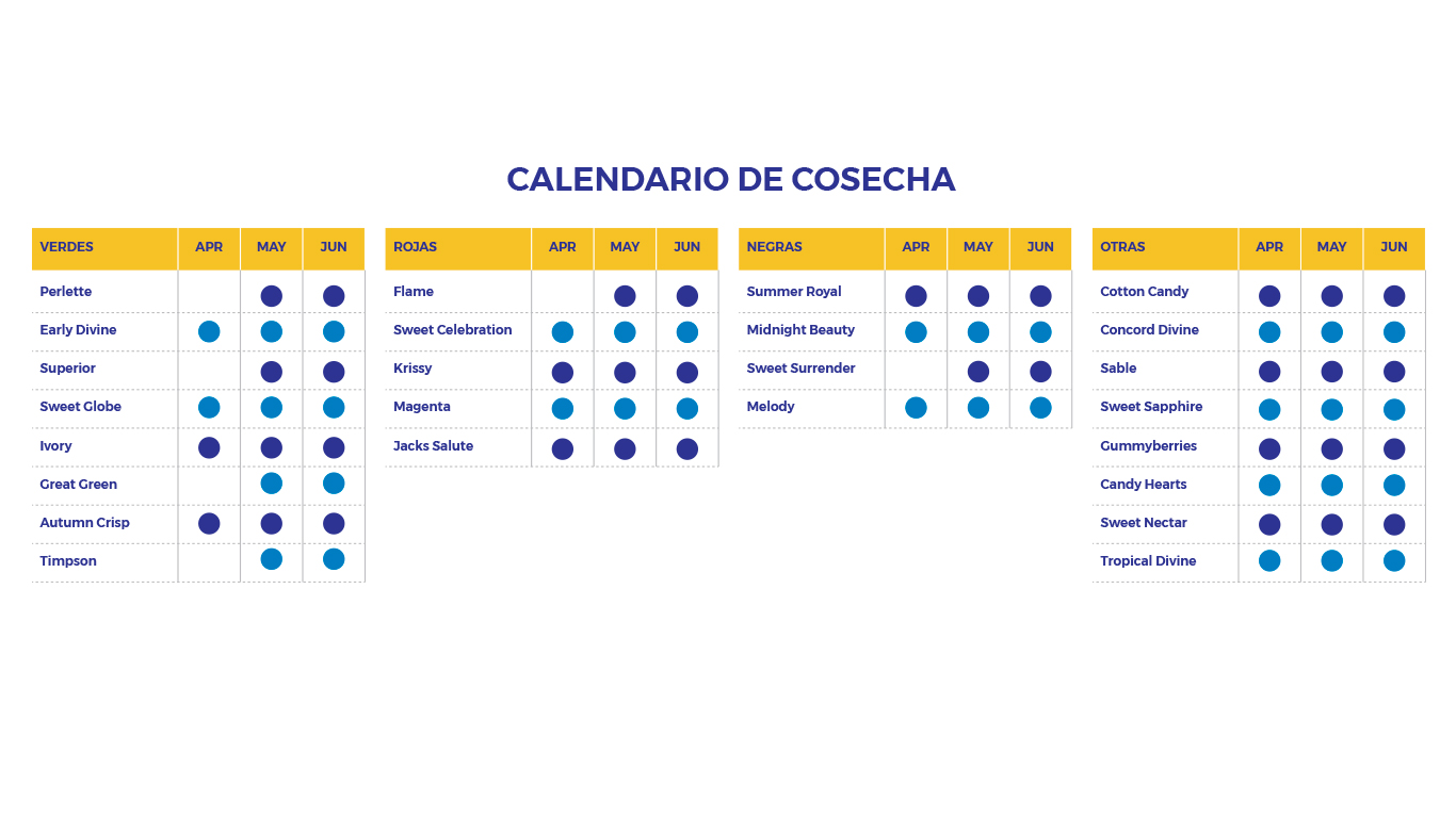Calendario-Cosecha